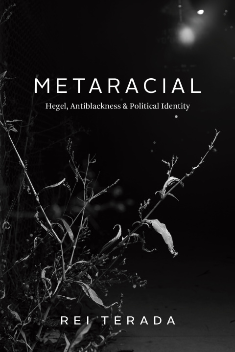 Cover image for book Metaracial