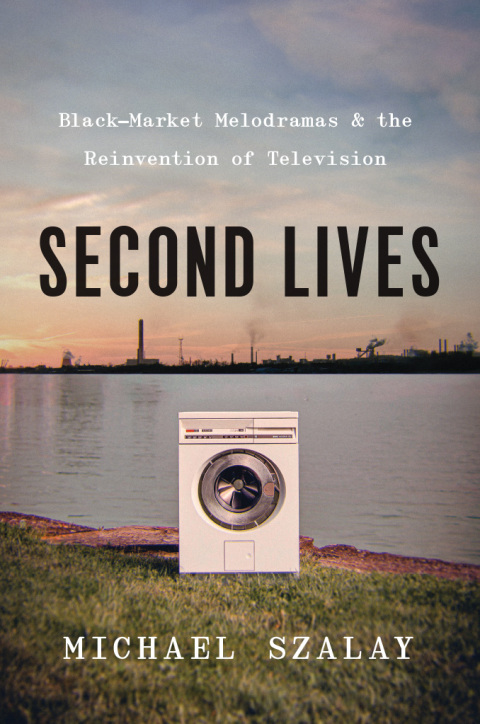 Cover image for book Second Lives