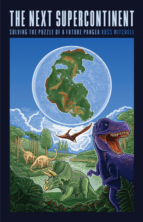 Cover image for book The Next Supercontinent