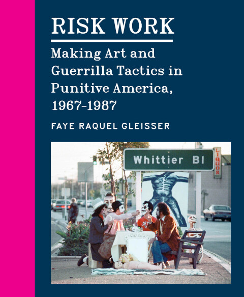 Cover image for book Risk Work