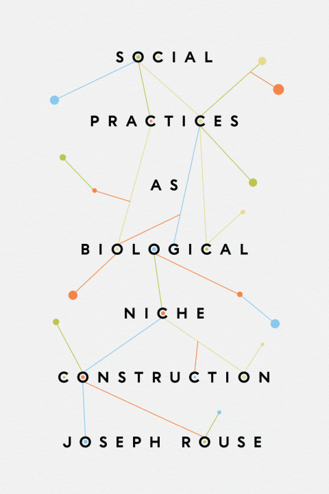 Social Practices as Biological Niche Construction 