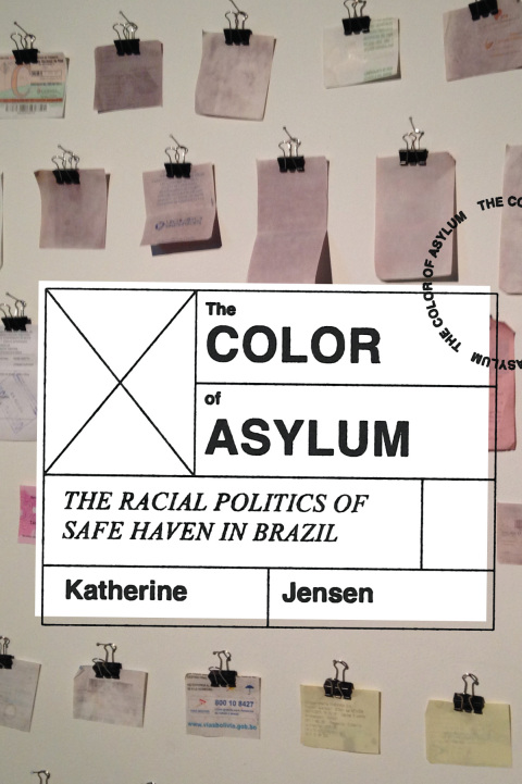 Cover image for book The Color of Asylum