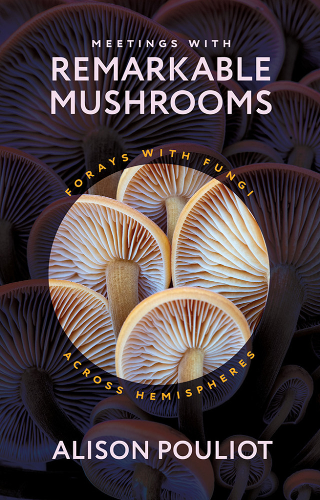 Meetings with Remarkable Mushrooms