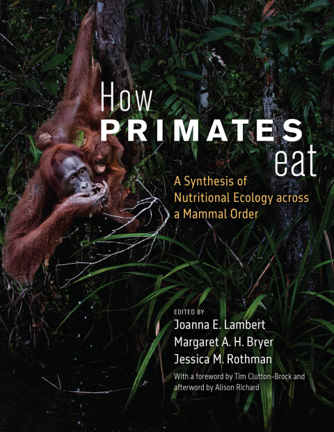 Cover image for book How Primates Eat