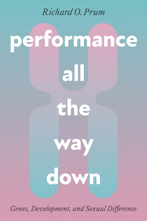 Cover image for book Performance All the Way Down