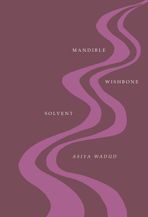Cover image for book Mandible Wishbone Solvent