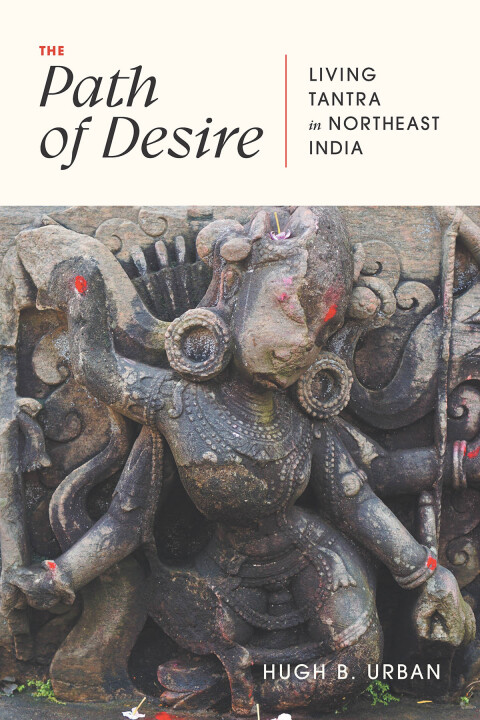 Cover image for book The Path of Desire