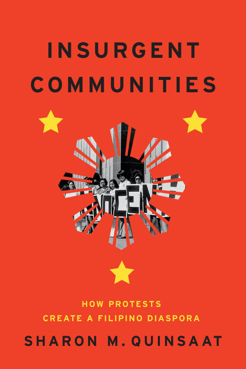 Cover image for book Insurgent Communities
