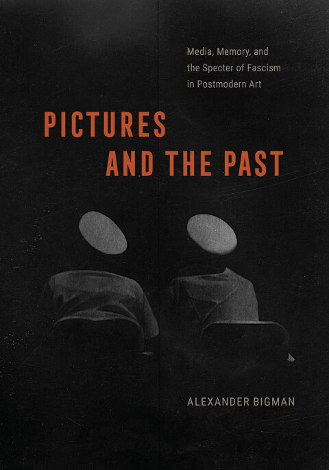 Cover image for book Pictures and the Past