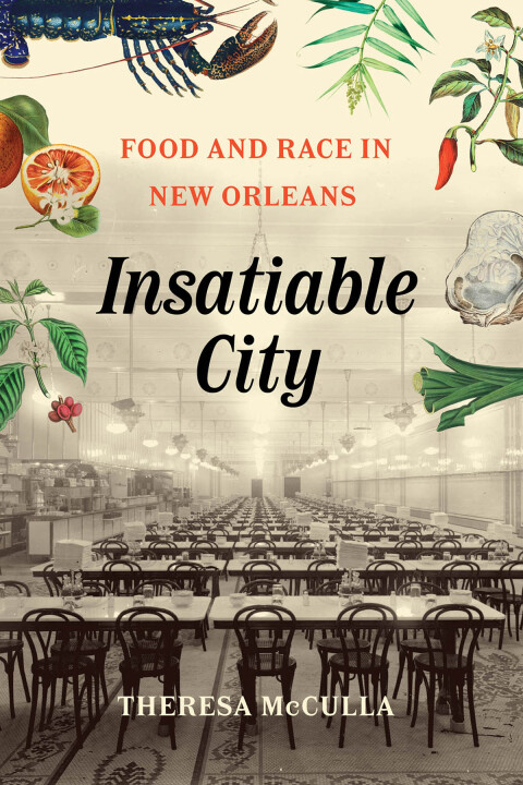 Cover image for book Insatiable City
