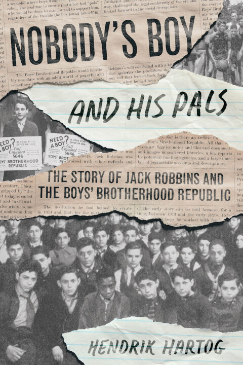 Cover image for book Nobody's Boy and His Pals