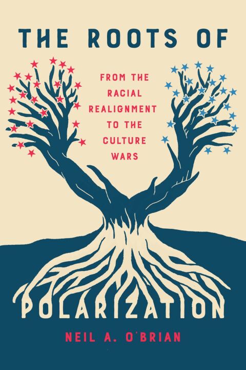 Cover image for book The Roots of Polarization