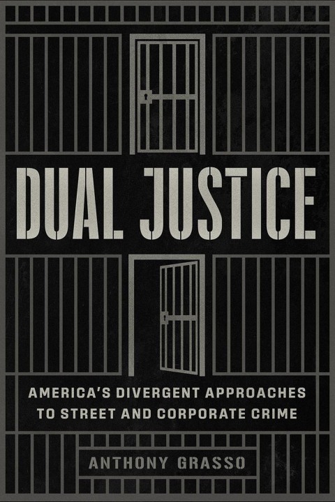 Cover image for book Dual Justice