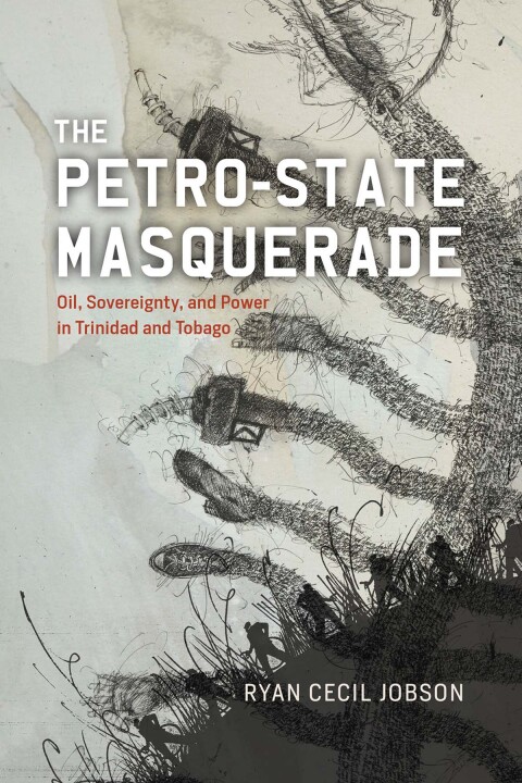 Cover image for book The Petro-state Masquerade
