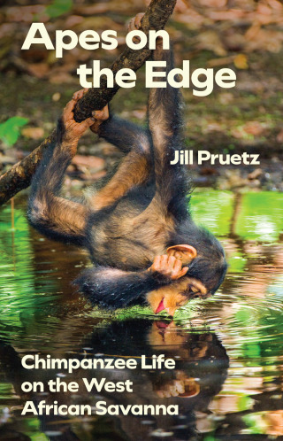 Apes on the Edge