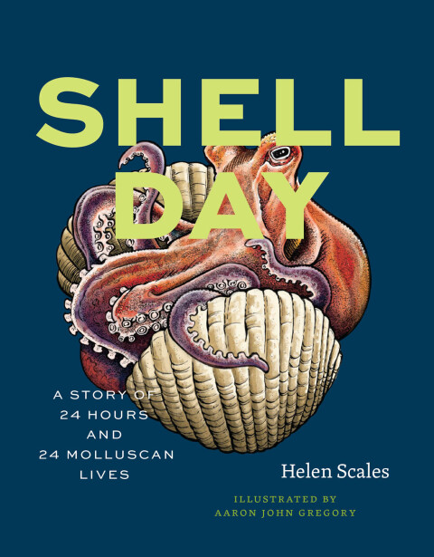 Cover image for book Shell Day