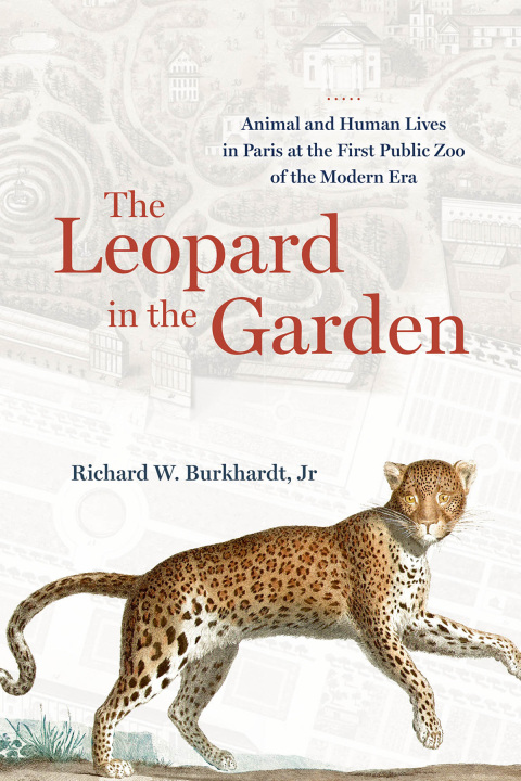Cover image for book The Leopard in the Garden