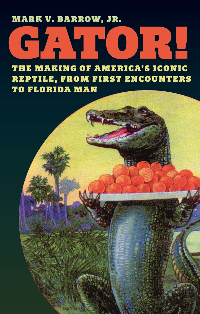 Gator!