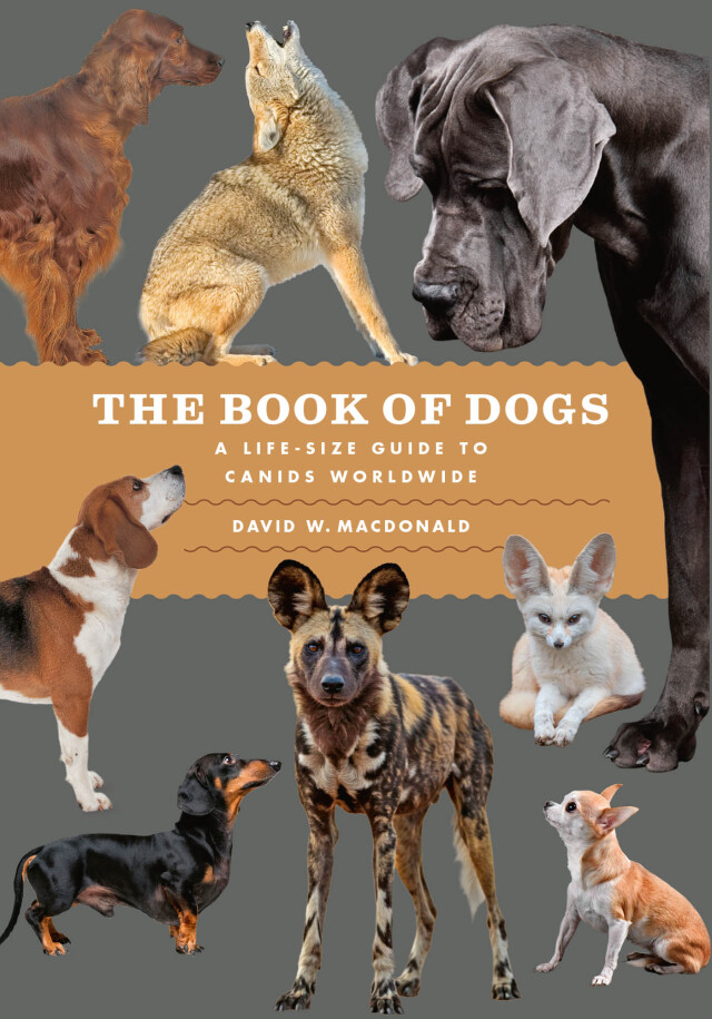 The Book of Dogs