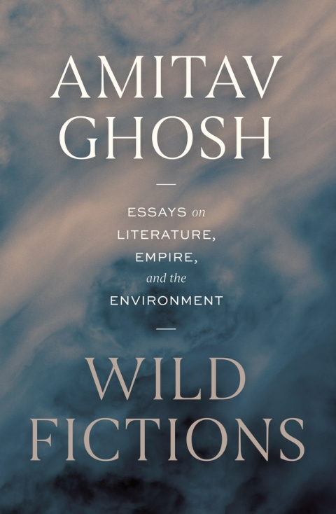 Cover image for book Wild Fictions
