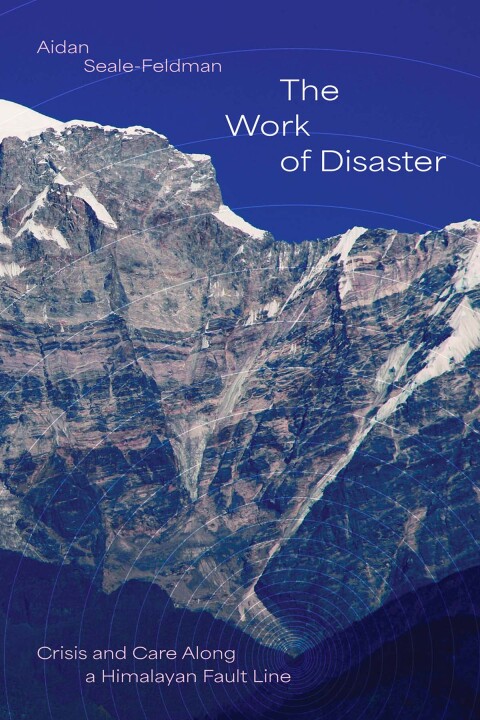 Cover image for book The Work of Disaster