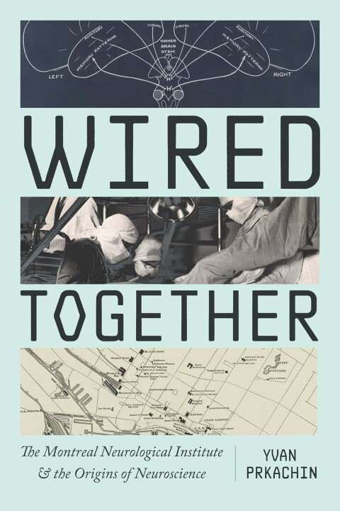 Cover image for book Wired Together