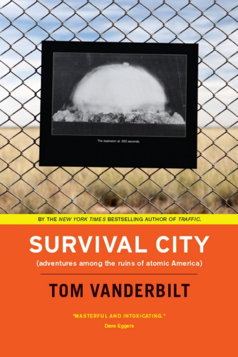 Cover image for book Survival City