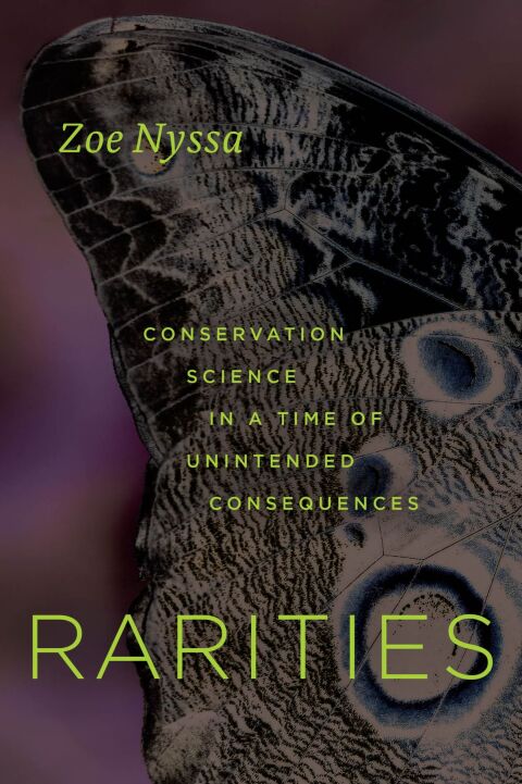 Cover image for book Rarities