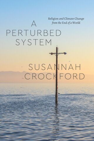 A Perturbed System