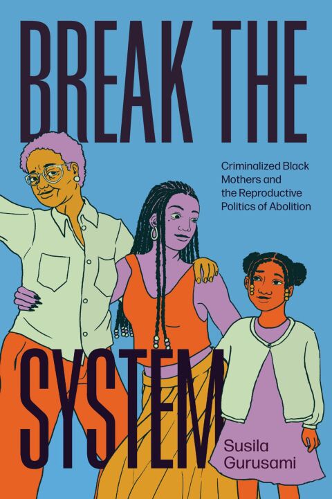 Cover image for book Break the System