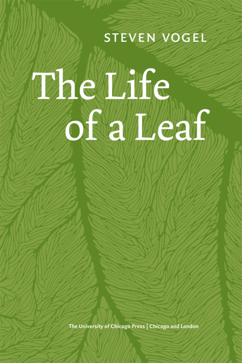 Cover image for book The Life of a Leaf