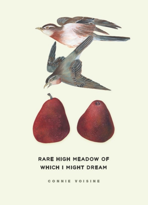 Cover image for book Rare High Meadow of Which I Might Dream