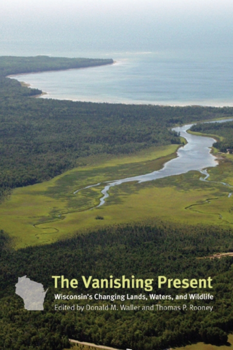 Cover image for book The Vanishing Present