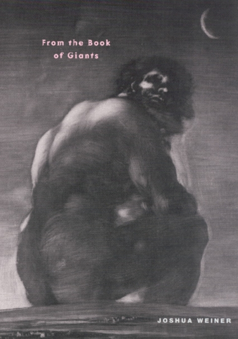 Cover image for book From the Book of Giants