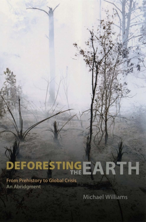 Cover image for book Deforesting the Earth