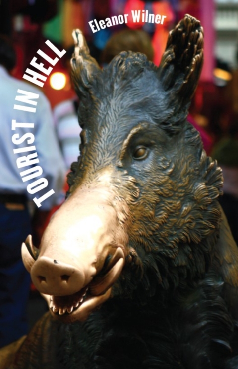 Cover image for book Tourist in Hell