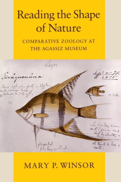 Cover image for book Reading the Shape of Nature
