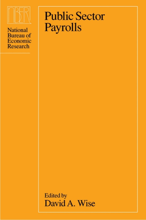 Cover image for book Public Sector Payrolls