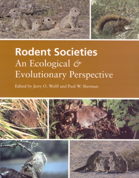 Cover image for book Rodent Societies