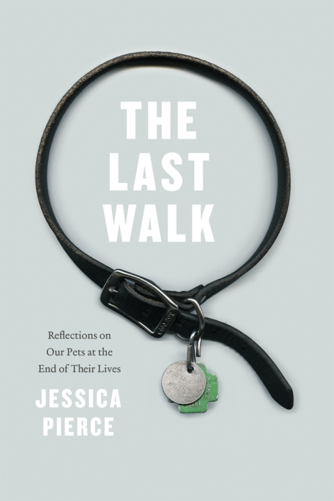 Cover image for book The Last Walk