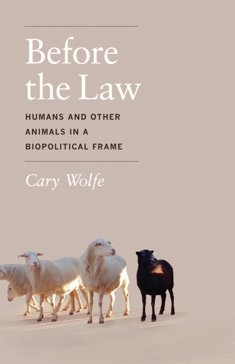 Cover image for book Before the Law