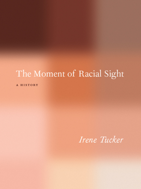Cover image for book The Moment of Racial Sight