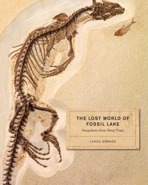 Cover image for book The Lost World of Fossil Lake