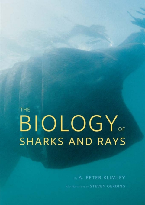 Cover image for book The Biology of Sharks and Rays