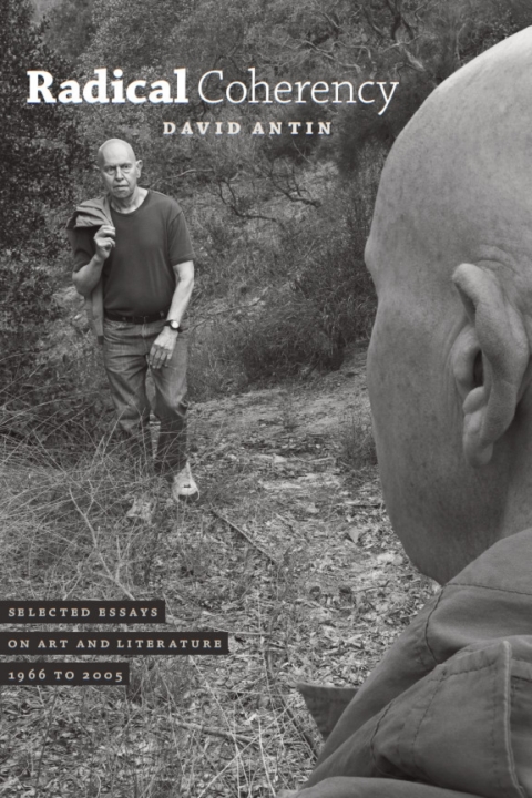 Cover image for book Radical Coherency