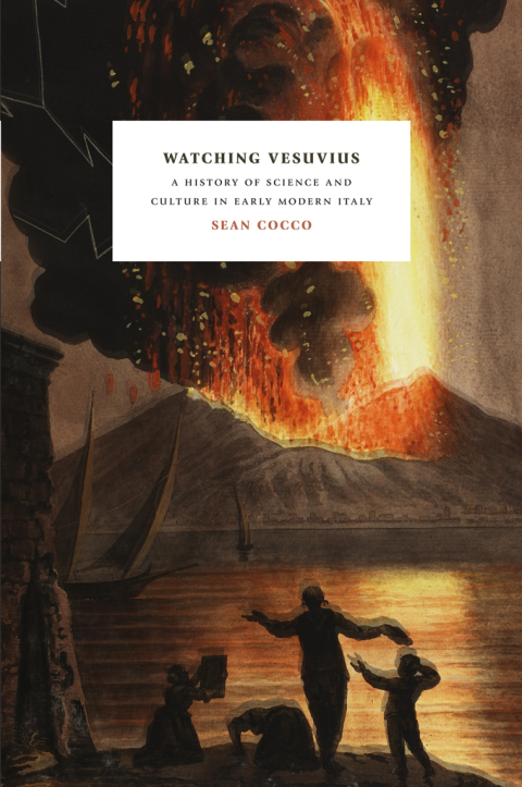 Cover image for book Watching Vesuvius