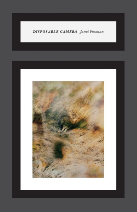Cover image for book Disposable Camera