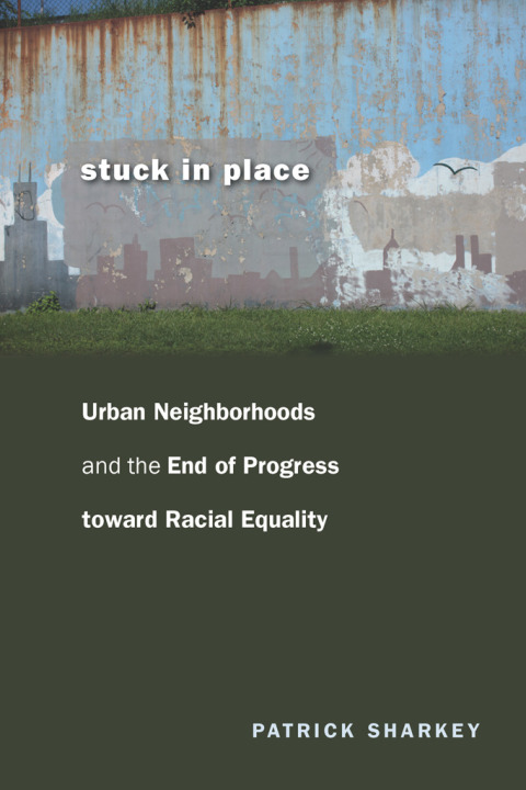 Cover image for book Stuck in Place