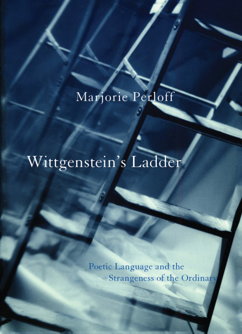 Cover image for book Wittgenstein's Ladder