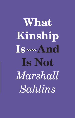 What Kinship Is-And Is Not